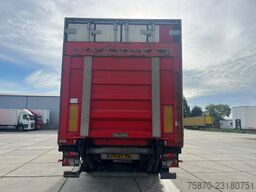 Pacton TBZ 120 Pacton