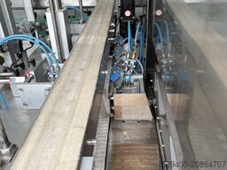 Pester pac automation PEWO-pack 450 (avec tunnel PEWO-therm)