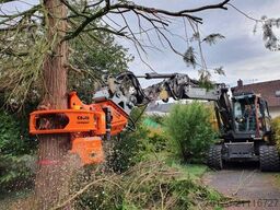 Westtech CS610 Compact / Greifersäge / Fällkopf