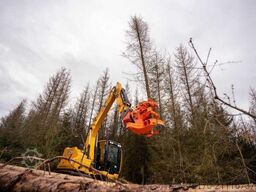 Westtech Woodcracker C350 Fällgreifer Baumschere