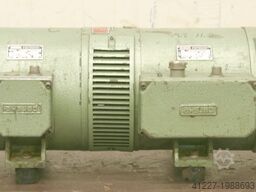 Perske 12,5  DWO 11/10