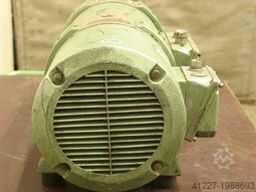 Perske 12,5  DWO 11/10