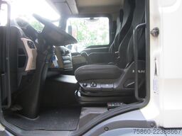 MAN TGM 15.290 Pritsche Plane LBW 290.161 Km