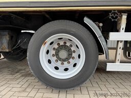 Burg 2-Axle Flowers/Blumen/Bloemen Heater, Webasto, ...