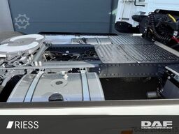 DAF XG 530 FT Alcoa Leder Vollluft Standklima