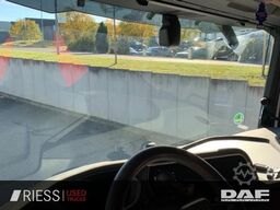 DAF XG 480 FT AUT LM SpurH SpurW