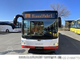 MAN A 23 Lions City G / O 530 G Citaro