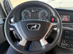 MAN TGM 19.290 EURO 6 19T FURGON
