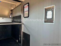 MERCEDES-BENZ Sprinter 319 CDi KHG Mystic Pferdetransporter