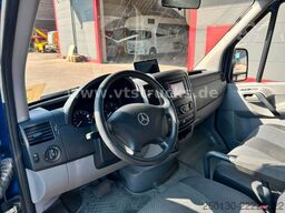 MERCEDES-BENZ Sprinter 319 CDi KHG Mystic Pferdetransporter