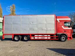 DAF XF 95.430 BERDEX  3 decks. Water, fans, Scales!...