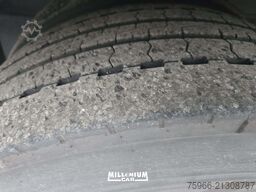 SCANIA SCANIA R730 BIGA FRIGO EURO 6