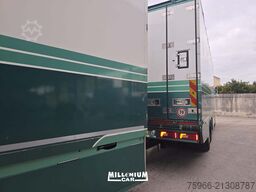 SCANIA SCANIA R730 BIGA FRIGO EURO 6