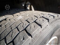 RENAULT PREMIUM 300 DXI + DHOLLANDIA 1.5T.