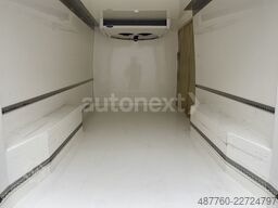 MERCEDES-BENZ Sprinter 315 *Carrier Tiefkühler -20°* 360° (345