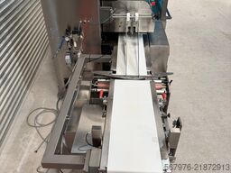 Ulma Packaging ARTIC BI Flow Wrapper
