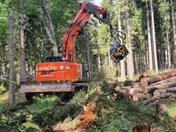 Hitachi ZAXIS 225