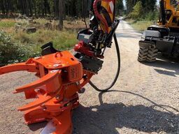 Westtech Woodcracker C250 Baumschere Fällgreifer