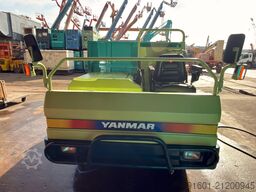 yanmar C30R
