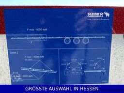 SCHMITZ CARGOBULL Mega+Standard SZM Rungen Twistlock Lift ¤449.-mt