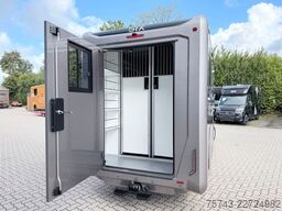 RENAULT Master STX 5 Sitzer Haras ex. Lang Automatik