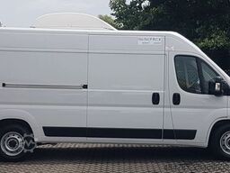 FIAT Ducato 160PS 3 mer -30°*+22°*+4° Pharma