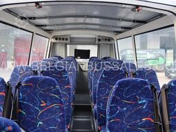 Iveco DAILY Atomic Cabrio