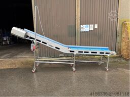 Carerra Incline Conveyor