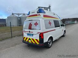 VOLKSWAGEN VW T6/1, 4-Motion