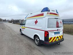 VOLKSWAGEN VW T6/1, 4-Motion