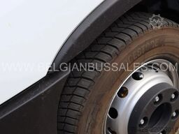Iveco Daily Line New / 10 X UNITS / 65C18H8 4100L / A...