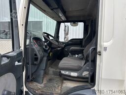 Bison Palfinger TKA 17