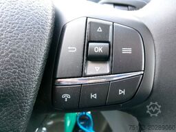 FORD Transit 350L4 Trend ATHeckantr. Koffer LWB Kam