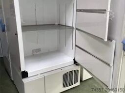 Thermo Fisher Scientific 88700V61