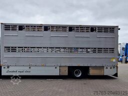 Pezzaioli 1 deck - Ventilation - 17.9M2 - Ramp - NEW box