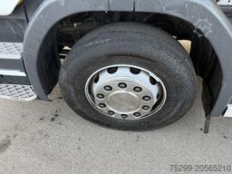 Scania P360LB 6x2 Faun / Swiss-Vehicle