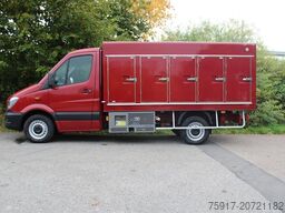 MERCEDES-BENZ Sprinter 310  Cold Car -33°C ATP 02/28