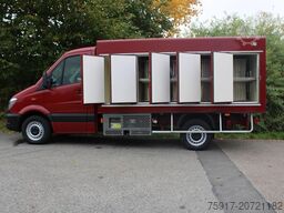 MERCEDES-BENZ Sprinter 310  Cold Car -33°C ATP 02/28