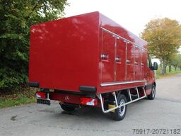 MERCEDES-BENZ Sprinter 310  Cold Car -33°C ATP 02/28