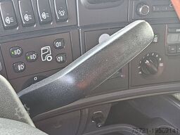 SCANIA R580 FRIEDERICH 251S CRAN