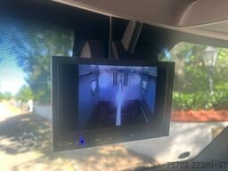Renault Master Roelofsen 1-2 Pferde Hengsttrennung