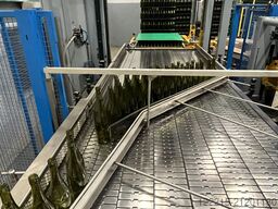 MAS PACK Neuglasabschieber