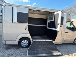 RENAULT Master STX Haras  5 Sitzer