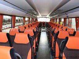 Iveco Evadys 13m / Rear door / NEW!!