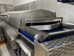 Cabinplant Continuous blancher