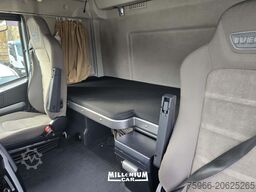 Ab Lutea Ab Lutea Ab Lutea