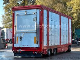  Stehmann ADV 24 3-Stock Viehtransporter