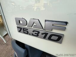 DAF CF 75.310 - 374.000KM! - Dhollandia 2.000kg - 5...