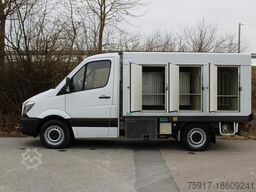 MERCEDES-BENZ Sprinter 310 ColdCar 3+3 Türen -33°C