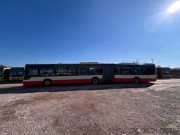 MERCEDES-BENZ Conecto G 43+100 21x vorhanden